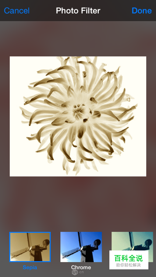 [ISUX译]iOS 9人机界面指南(三)：iOS 技术